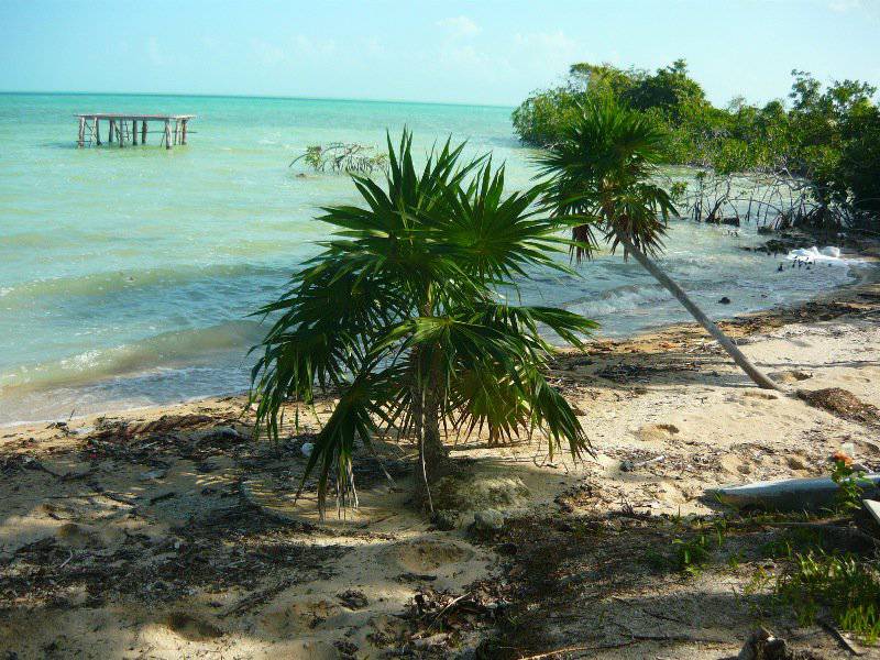 Land for sale in Belize | 1.092 acre of Beach-Front property